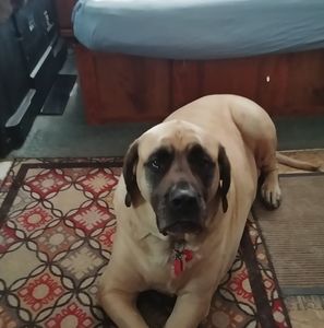 Meet your Posher, Bobby